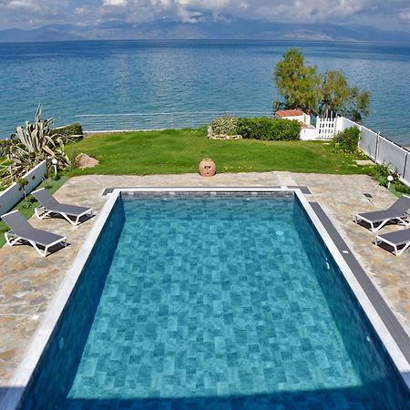 Antorina Beachfront Villas With Private Pools Kamari  Eksteriør bilde